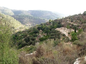 jerusalem-sataf-view